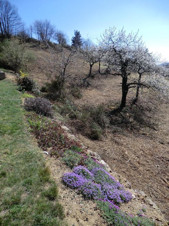 La Bastide De Fontaille Panzió Saint-Félicien Kültér fotó