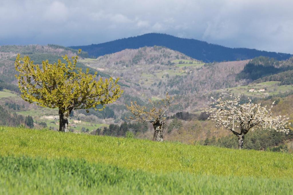 La Bastide De Fontaille Panzió Saint-Félicien Kültér fotó