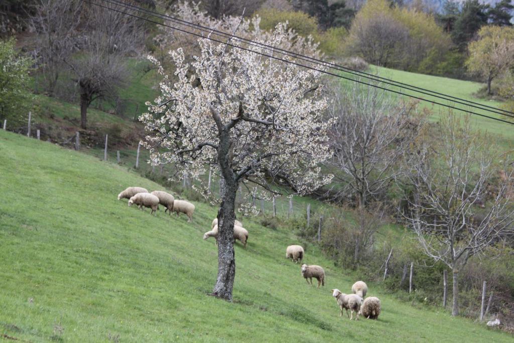 La Bastide De Fontaille Panzió Saint-Félicien Kültér fotó