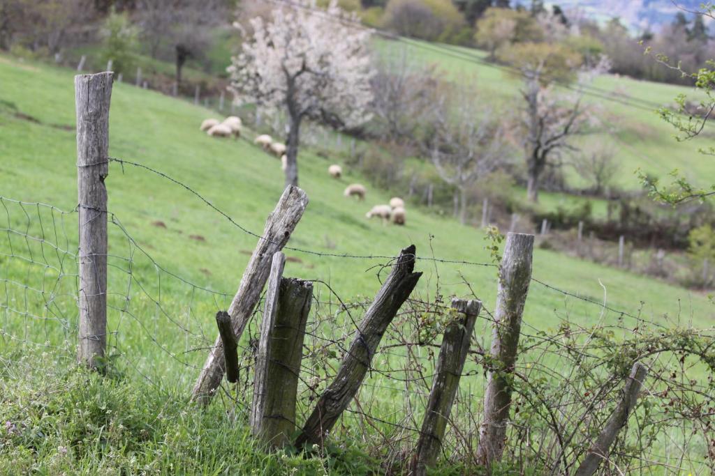 La Bastide De Fontaille Panzió Saint-Félicien Kültér fotó